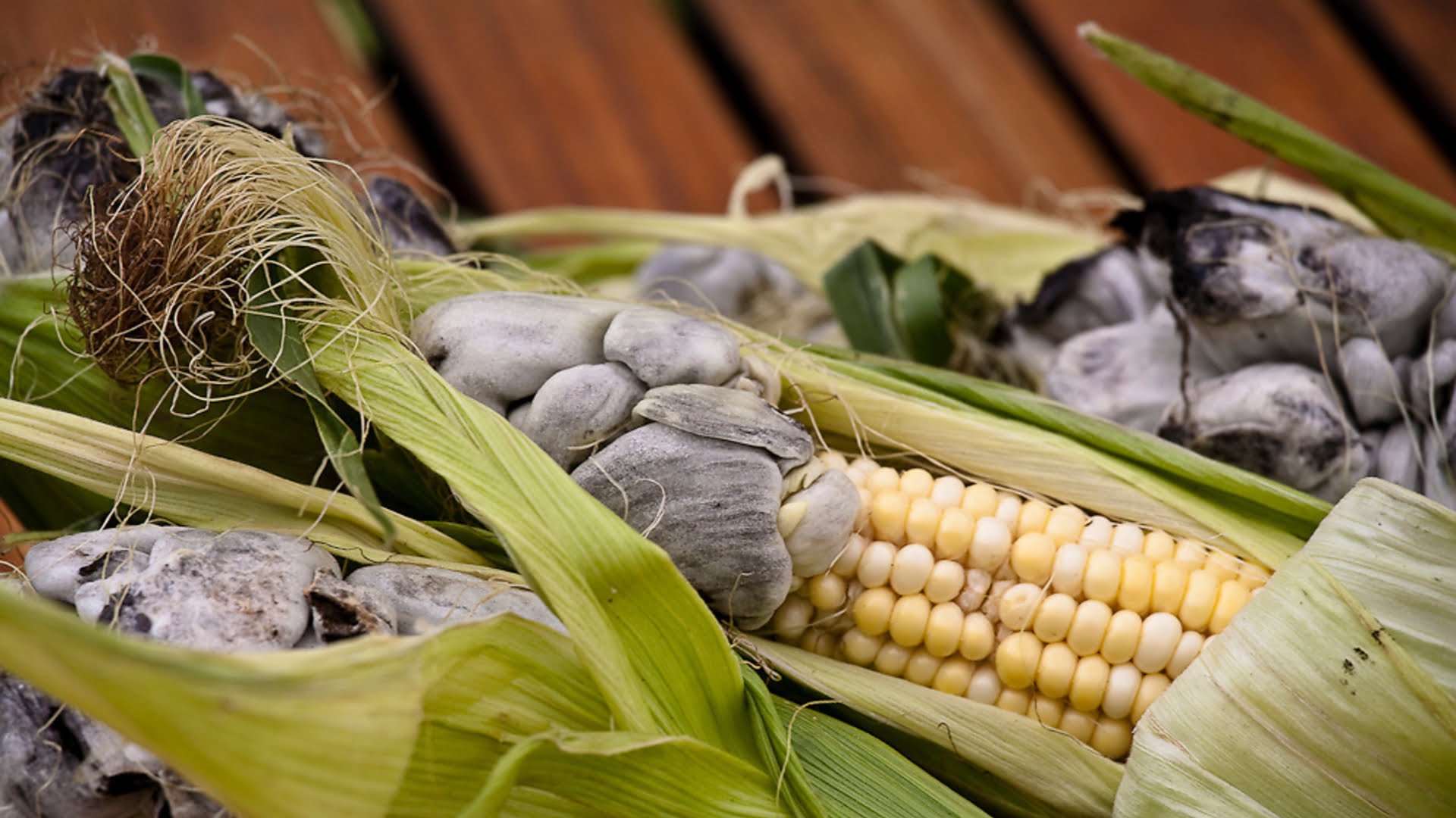 Huitlacoche in Mexico