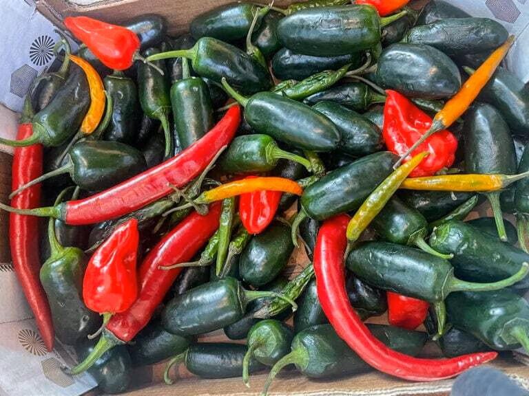 An array of fresh chillis
