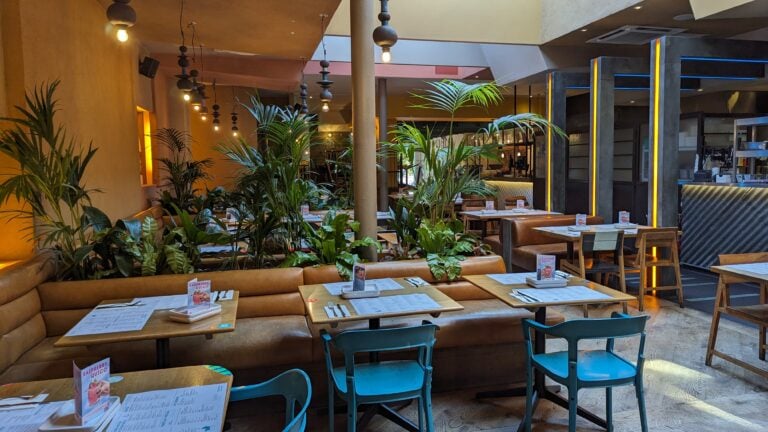 Islington restaurant interior with seating and large leafy green plants