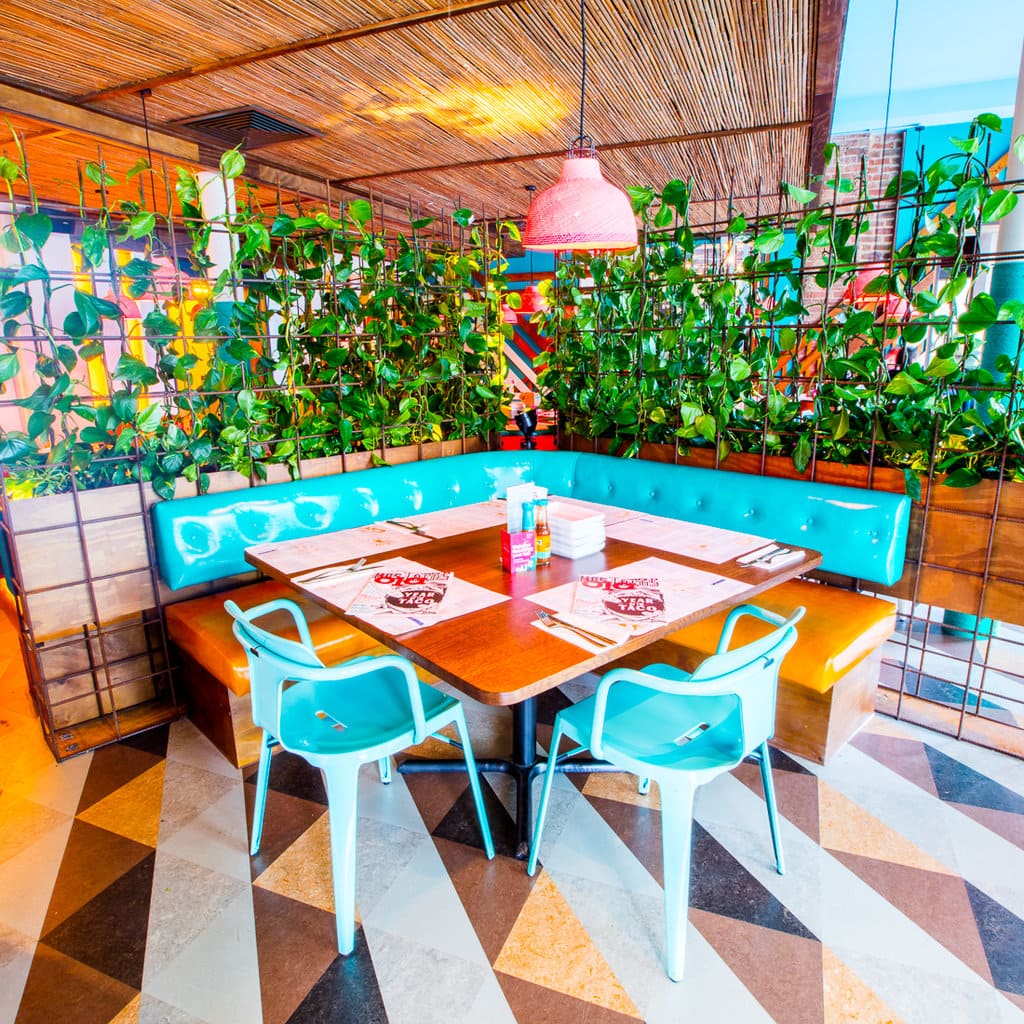 A bright table at our Mexican restaurant in Brighton surrounded by leafy plants