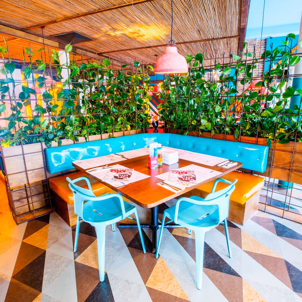 A bright table at our Mexican restaurant in Brighton surrounded by leafy plants