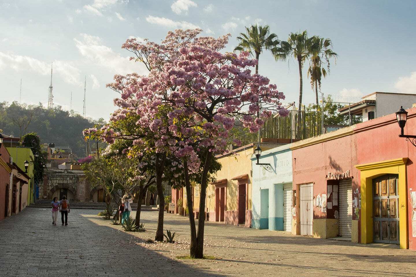 Colourful street in Oaxaca Mexico