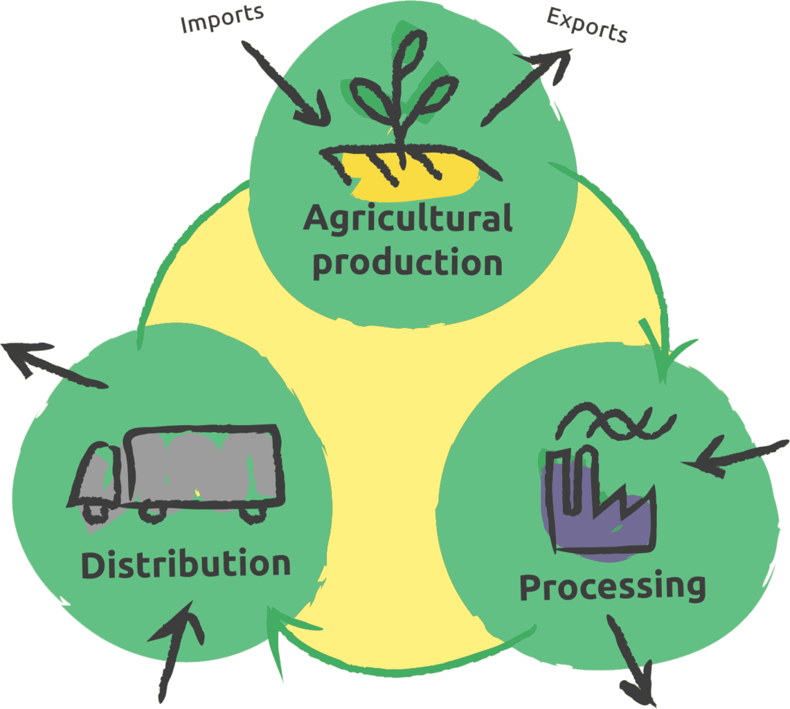 An infographic showing the aspects of processing, distribution and agricultural production